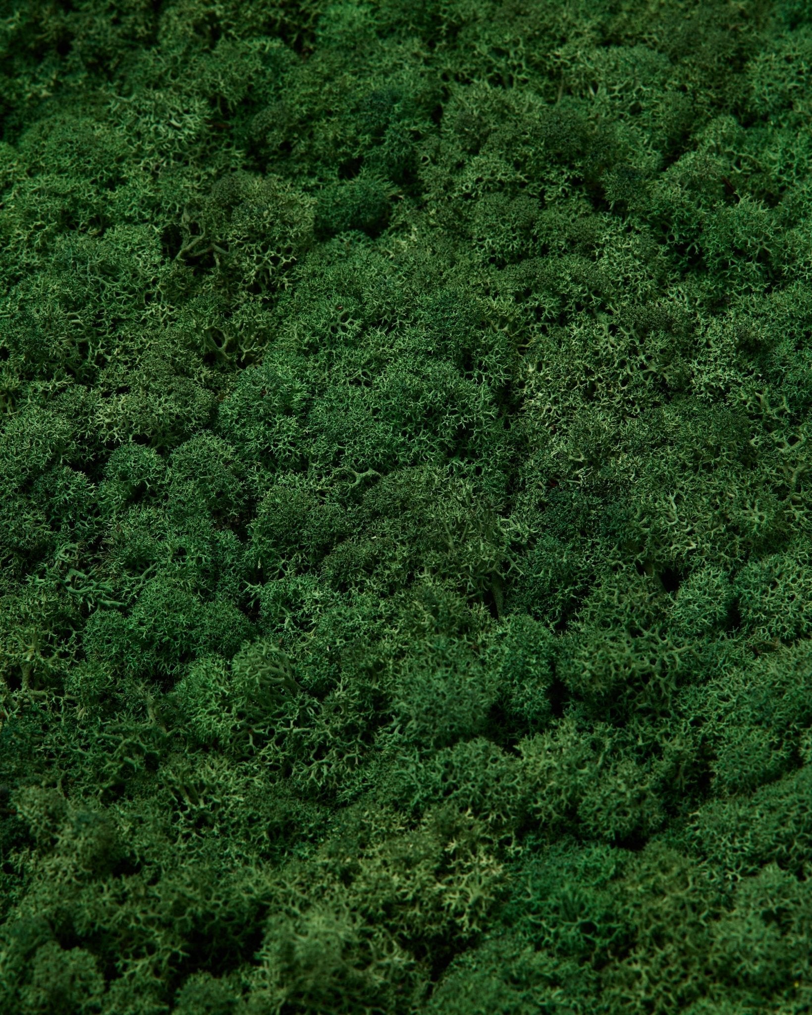 WoodUpp Moss sample in Moss Green features a dense, vibrant green surface with rich texture and natural, uneven patterns for Nordic acoustic panels.