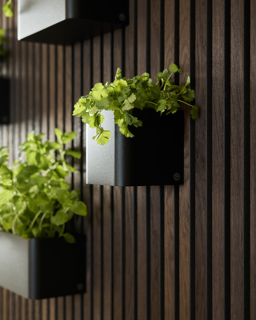 Wall-mounted planters with green plants against a wooden slat background