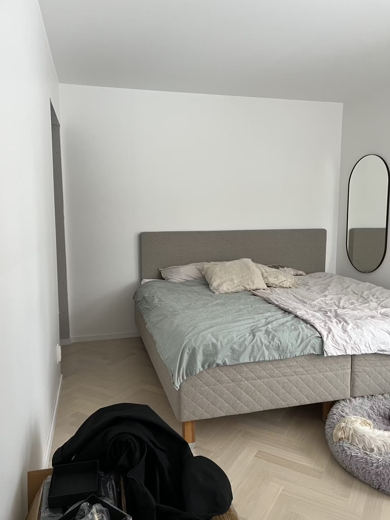 A neatly made bed with gray and white bedding sits against a white wall fitted with a Nordic acoustic panel; an oval mirror hangs nearby, dog bed on the floor.