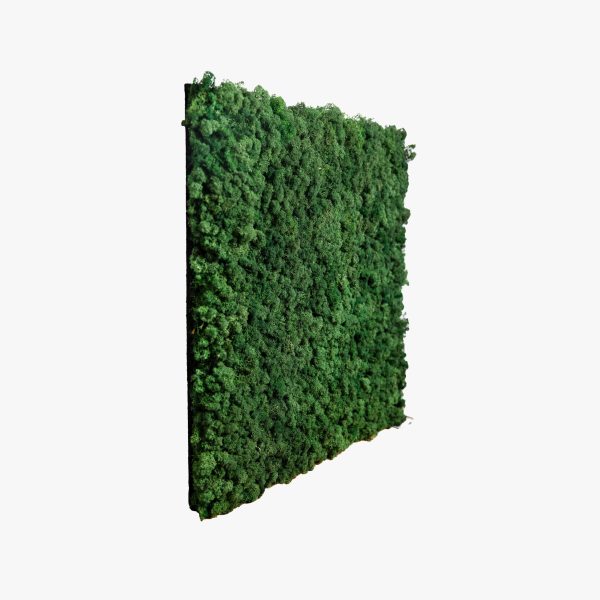 Moss Panel