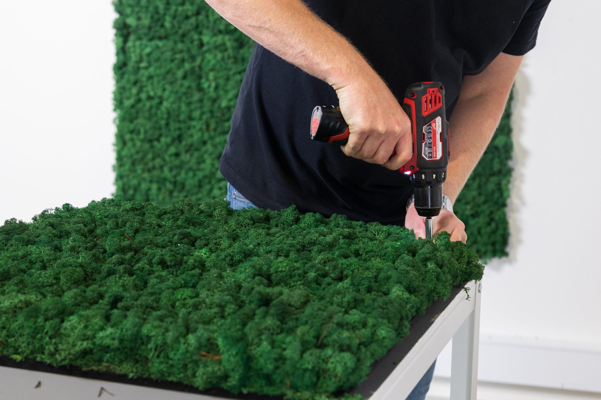 Moss - WoodUpp South Africa