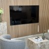 Large (up to 85 inch TV mount)